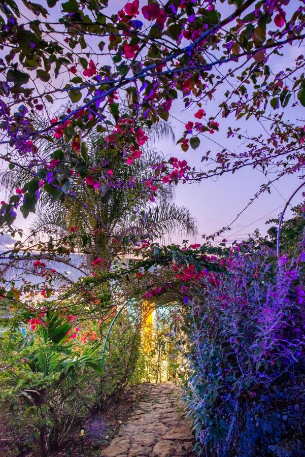 Sunset Palm Lodge Сан-Хіль Екстер'єр фото